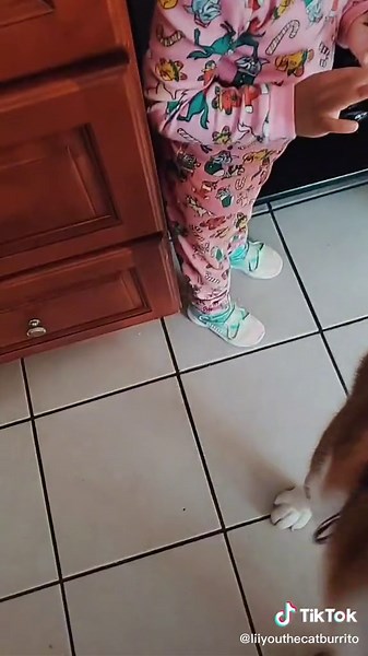 made me realize he love her more than me 🤯#husky #protectiondog #fyp #badbaby badbab#dogofticktok #KFCSecretMenuHacks