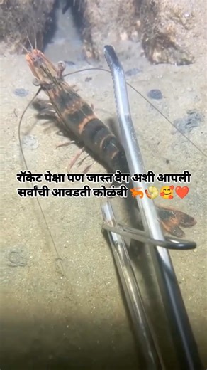 prawns 🦐 speed is for better than Rocket 🚀 #viral #reels #shorts #trending #explore #agriculture