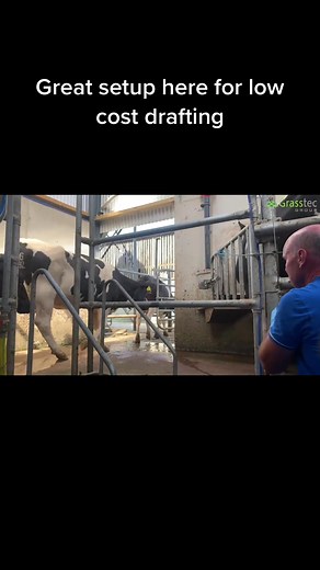 Grasstec Group on TikTok