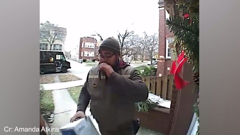 When Delivery Drivers Become Friends with Fur Babies – Funny Animal Moments