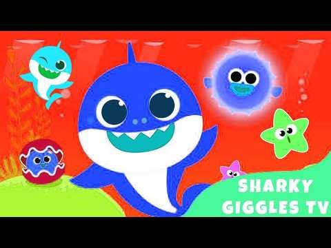 🐬 [1 MIN LOOP] Baby Shark Remix Sound Mashup 🎶 | Several Styles & Variations | Sharky Zuno TV