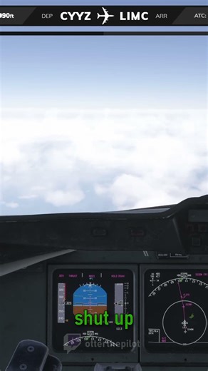 Typical Atlantic crossing on VATSIM 💀 #aviation #crossthepond #aviationgeek #msfs2024 #flightsim