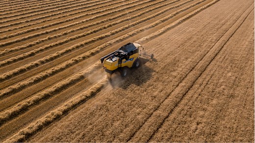 L'agriculture intensive : un fléau qui augmente les risques de pandémie
