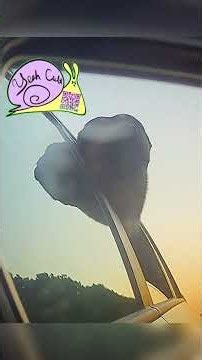 50 Ways to Leave Your Lover (Ashley Campbell, PMJ) Yeah Cult Teaser Cover