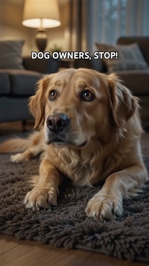 5 Foods You Should NEVER Give Your Dog! 🐶
