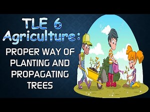 TLE 6 Ag - Proper Way of Planting and Propagating Trees