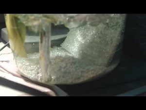 Electrolytic silver refining
