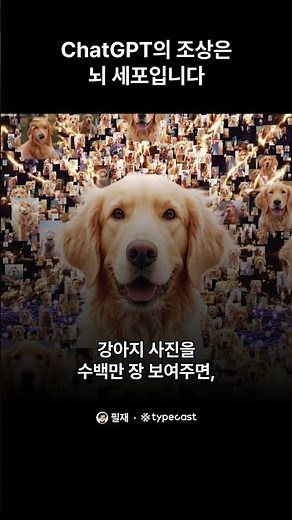 ChatGPT의 조상은 뇌 세포입니다 #ai #ai교육 #it지식 #딥러닝