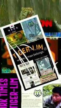 TIGER-LIM CAMP STORY #임순남 #한국호랑이보호협회 #대한민국호랑이전문가