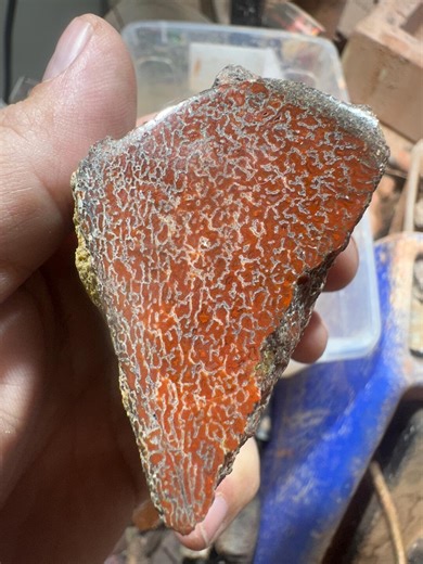 Dinosaur Gem Bone Polished Specimen – Multicolor Fossilized Cell Structure | 320g Lapidary Specimen - Etsy