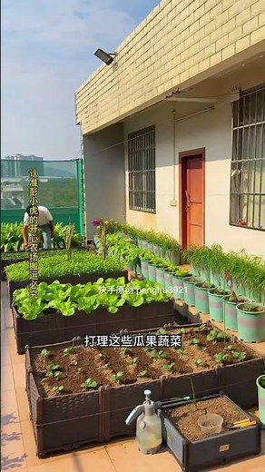 How People in Dubai Grow Fresh Vegetables Inside Their Homes 🌱