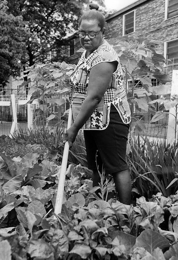 Cabrini-Green timeline: From ‘war workers’ to ‘Good Times,’ Jane Byrne and demolition