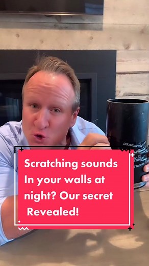 How to Identify and Eliminate Scratching Sounds in Walls at Night