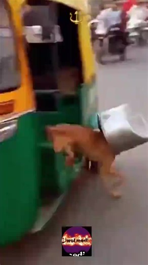 Exploring BalliBot: A Smart AI Revolution