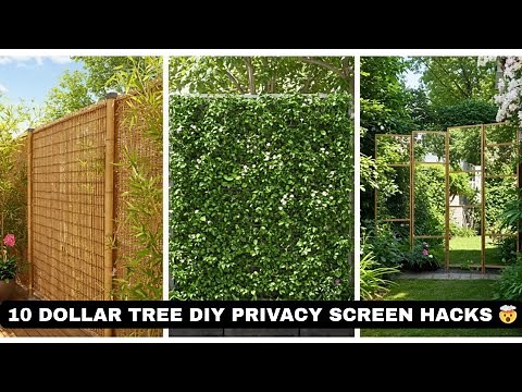 10 Dollar Tree DIY Privacy Screen Hacks That Transformed My Backyard🌿🏡