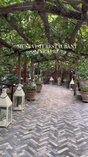 Discover the Best Lemon Experience at Da Paolino in Capri
