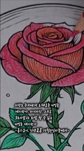 ✝️어린왕자 장미 색칠하기 컬러링북도안 무료 제공 다운로드 | 톨스토이 인생독본ㅣ최고의 시간에ㅣ기독교색칠공부 도안ㅣ치매예방ㅣ불안해소