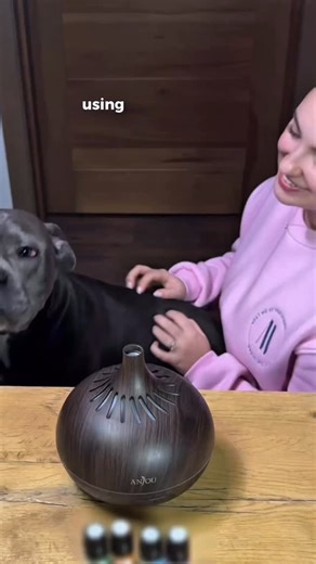 using a diffuser at home?  it can help your dog relax too. but...