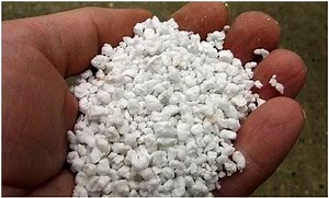 Perlite Myths - Should It Be Used in Gardens and Potted Plants?