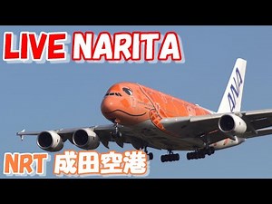 🔴LIVE at NARITA International Airport Plane Spotting 2024.12.28 成田空港ライブカメラ 成田空港 NRT/RJAA