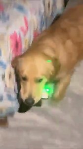 112K views · 2.9K reactions | Ghost detector machine _shorts _ Anant Rastogi | Anant Rastogi | Facebook