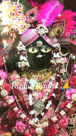 Aarti Kunj Bihari ki 🙏 Radhe Radhe 🙏 #radheradhe #shorts #premanandjimaharaj #youtubeshorts #radhe