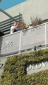 Inside Providence Los Angeles, restaurant of chef Michael Cimarusti, winner of the Estrella Damm Chefs' Choice Award 2025, as part of North America's 50 Best Restaurants. Join us behind the scenes at this LA based seafood restaurant and discover some of Cimarusti's favourite ingredients to catch and cook. #NorthAmericas50Best #50BestRestaurants Estrella Damm Providence | The World's 50 Best Restaurants