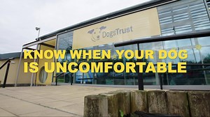 31K views · 450 reactions | Lip licking can be a sign that your dog is uncomfortable.  Our Be Dog Smart workshops teach some of the 21+ signs to help ensure safety around dogs. | Dogs Trust Ireland | Facebook