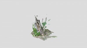 Tree trunk (iPhone 12 Pro Lidar) - Download Free 3D model by just_Rem | Юр (@just_Rem)