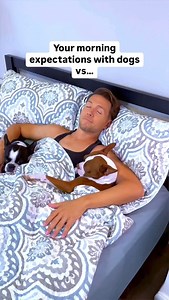 Expectation vs. Reality: A Dog Parent’s Morning Ever dreamed of waking up peacefully with your furry friends? 🛏️💤 Imagine starting your day with a smile, snuggled up with your two adorable dogs... sounds perfect, right? Instead of peaceful cuddles, I get a dog butt in my face, one pup staring intensely into my soul, and the other stealing all the blankets—leaving me to shiver in the cold! . . . #dog #doglover #dogsofinstagram #dogmom #pitbull #petstagram #funny #funnyvideos #funnyshit | Ash & 
