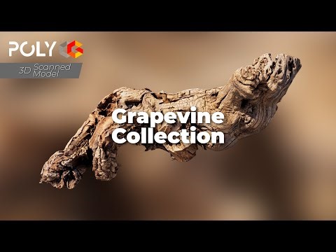 3D Grapevine Woods Collection | Realistic 3D Scanned Assets with 4K & 8K PBR Textures