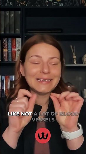 🔪 Spay Surgery: What to Expect & Watch Out For 🐾