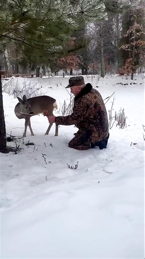#BabyDeerRescue 🦌❤️ #CuteMoment #Shorts