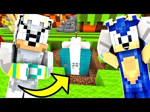 Minecraft Sonic The Hedgehog - Silver The Hedgehog From The FUTURE! [82]