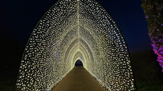 Iconic Chicago-area holiday traditions opening this weekend: Lightscape, Ice Skating, ZooLights and more