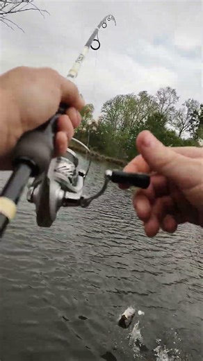 bass on a fluke 2 #bassfishing #fishing #fishingshorts