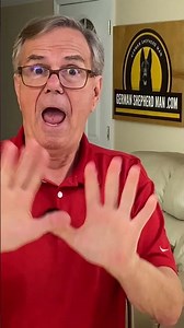 Puppy Not Responding to Commands? THIS Makes Training EASY