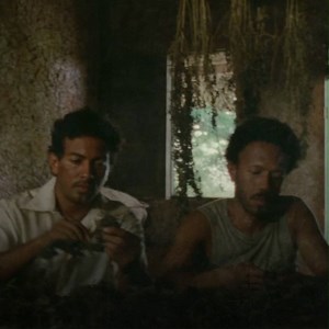 23K views | Découvrez l’histoire d’une famille à l’origine des cartels de la drogue en Colombie. LES OISEAUX DE PASSAGE, un film de Cristina Gallego et Ciro Guerra, le 10 avril au cinéma. | Diaphana Distribution | Facebook
