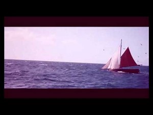 Beirut - The Rip Tide (Subtitulado en Español)