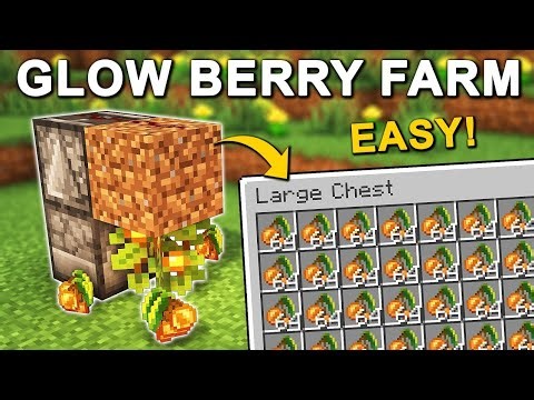 EASY Automatic Glow Berry Farm in Minecraft 1.21+ (Tutorial)