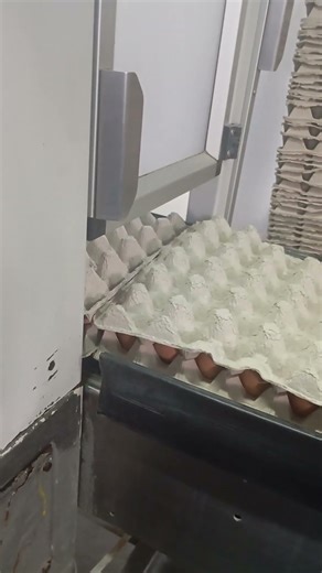 Acepak Shrink Wrapper in Action | Automatic Packaging Machine | Industrial Shrink Wrapping Process