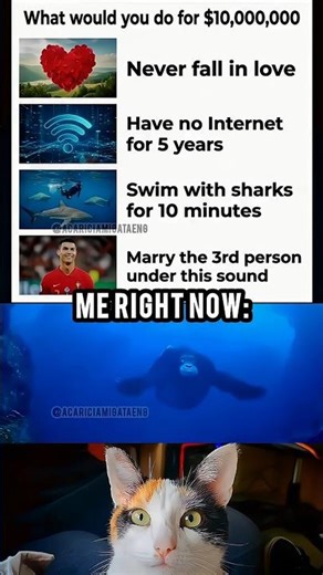 Me after getting $10,000,000... 🦍💨 #shorts #memes