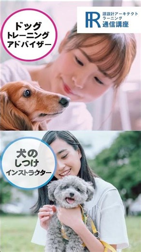 [Dog Training Certification] Online Course for Dog Training Advisor! #OnlineLearningMaterials #Ce...