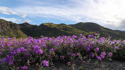 When is the first day of spring 2025? March equinox marks the start of the season