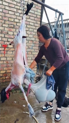 Fastest Sheep Butchery Ever 🐑🔪 Lamb Dressed in 60 Seconds | #shorts