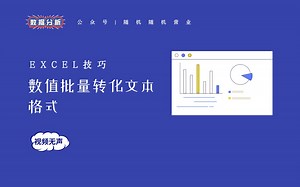 Excel｜数值批量转化为文本
