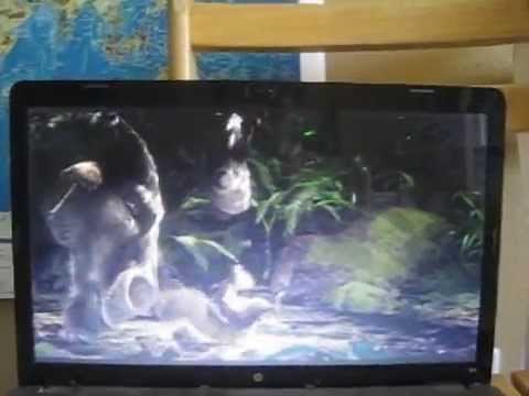 Simba, Timon, and Pumbaa's Adventures in The Wild Chapter 12