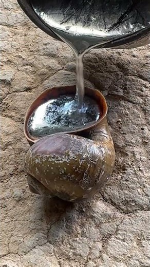 Eco Metal Casting Snail Shell Art ✨ #sustainable #shorts #viralvideo #art