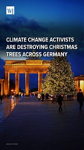 9.5K views · 147 reactions | German climate change activists have destroyed Christmas trees in Berlin, Oldenburg, Kiel, Leipzig, Rostock, Munich and Nuremberg. | The Tea Party Community by WJ | Facebook