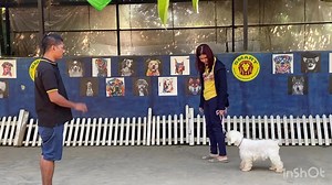 68K views · 3.2K reactions | လမ်းသွားရင်လူစိမ်းဆို မထင်ရင်...